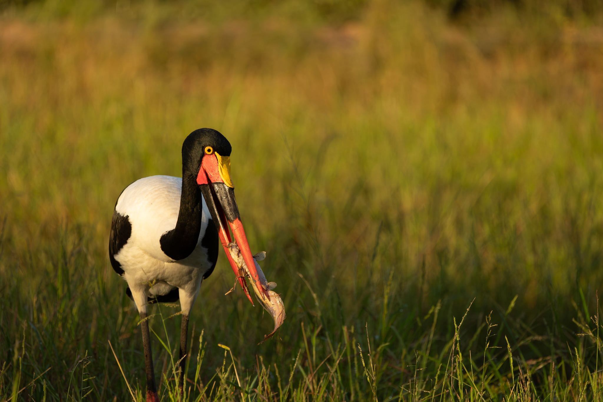 Khensani River Lodge