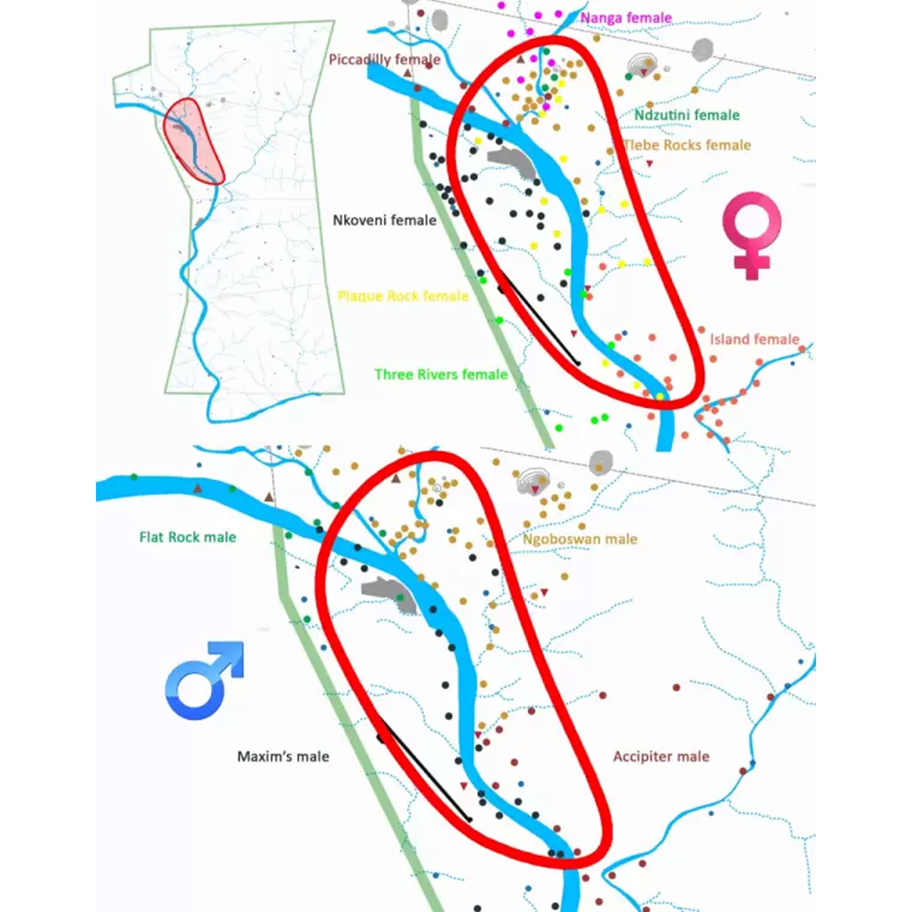 map of leoperds colliding