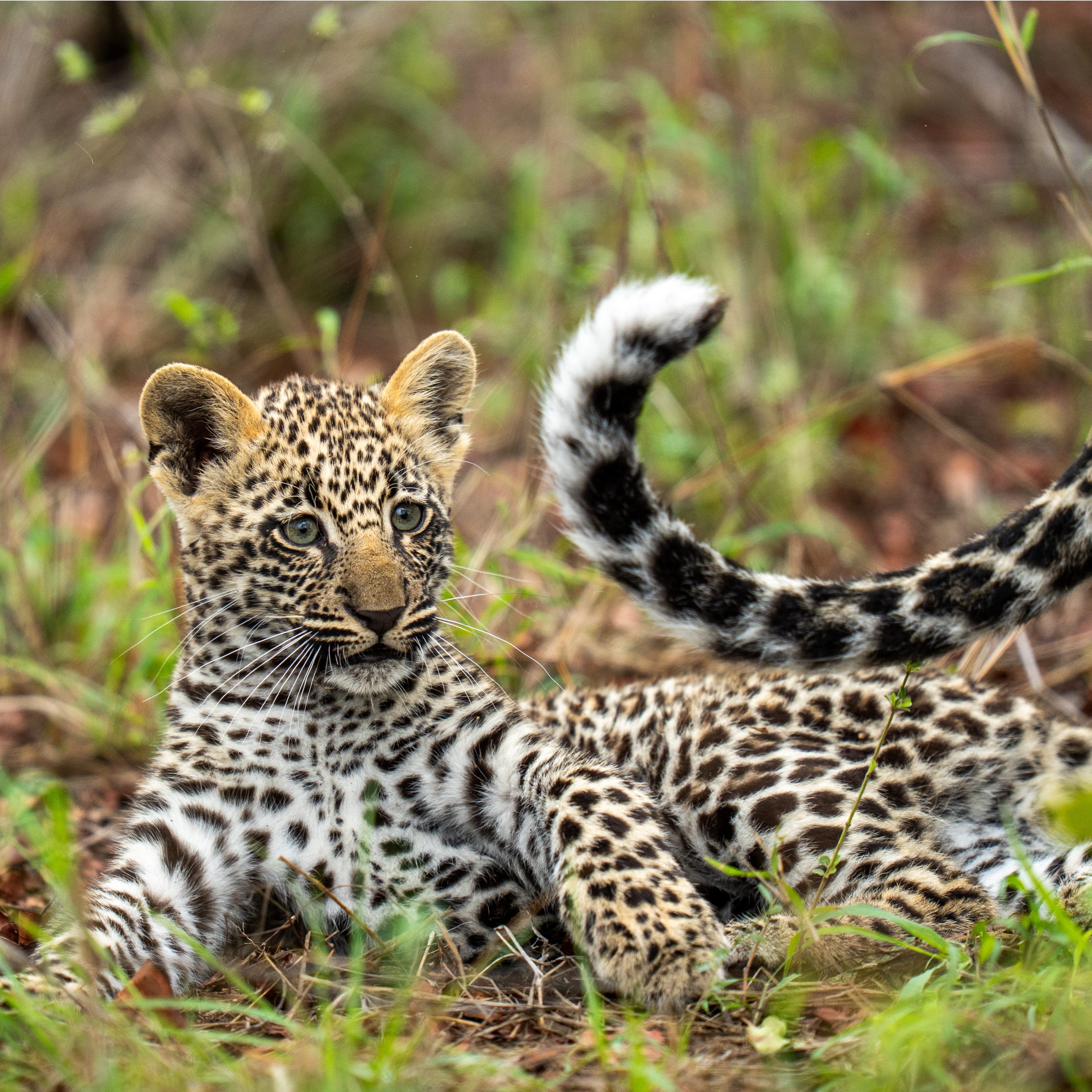 Baby Emsagweni Female Portrait